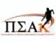 ΠΣΑΚ