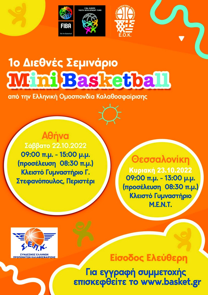 mini basketball2
